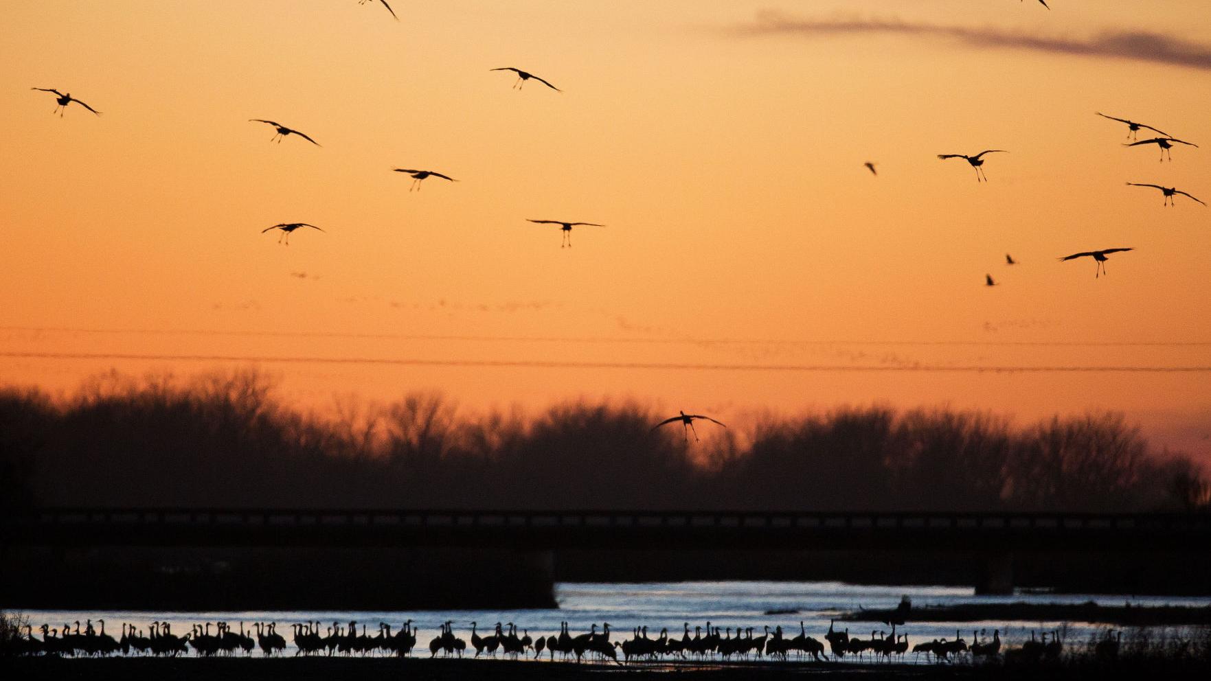Audubon workers in Nebraska vote to join union